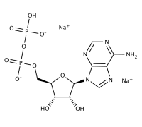 Аденозин-5-дифосфат динатриевая соль "ЧДА"